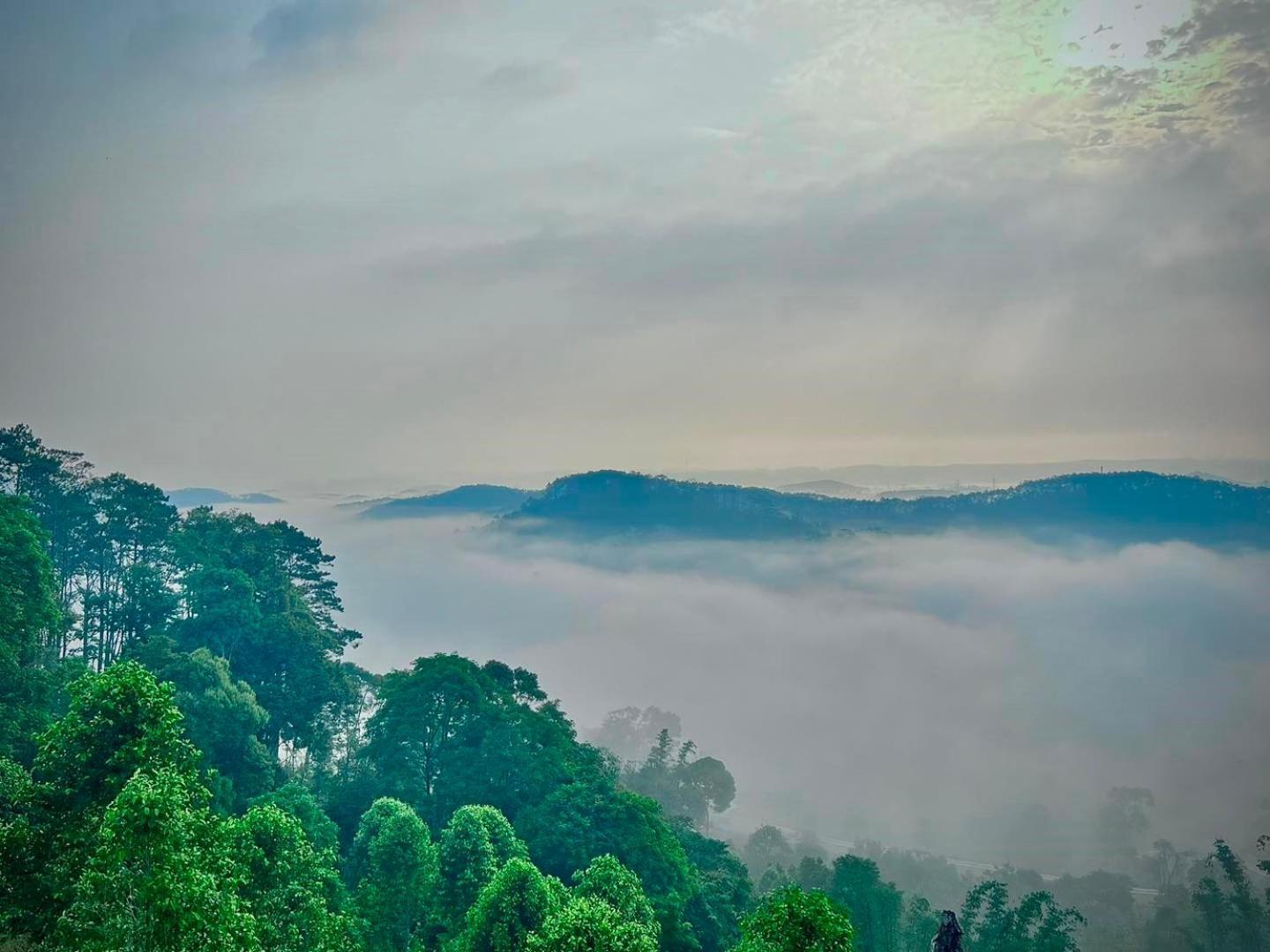 Vuon Tra Homestay Mang Den Kon Von Kla Exteriér fotografie