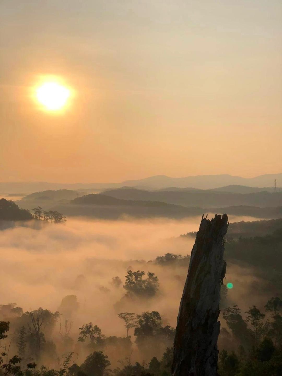 Vuon Tra Homestay Mang Den Kon Von Kla Exteriér fotografie